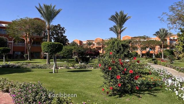 Hotel Caribbean World Soma Bay, Egypt - Hurghada смотреть онлайн