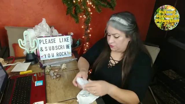 Rare Korean Succulent Plant Haul Unboxing