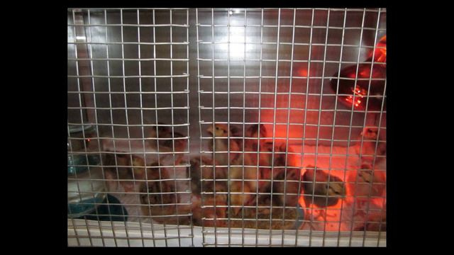 Для подписчиков видео информация! Где нас найти, посмотреть нашу работу и  написать нам !