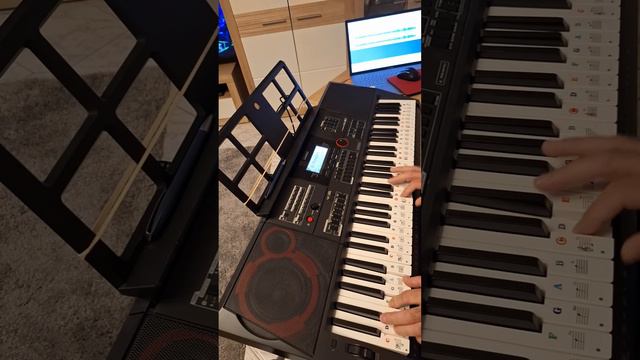 cover,mr.credo,Чудная долина(простите за косячки),casio ct-x 5000 смотреть онлайн