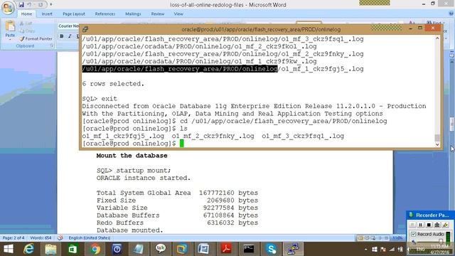 Recovery Scenarios3 OnlineRedologs смотреть онлайн