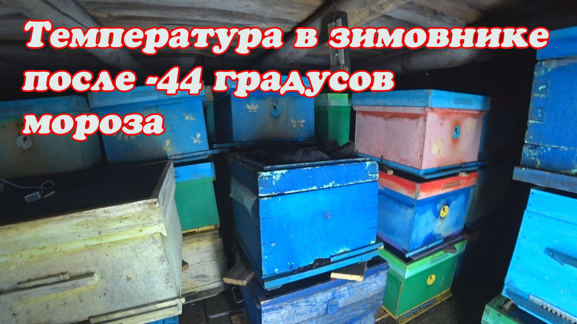 ТЕМПЕРАТУРА В ЗИМОВНИКАХ ПОСЛЕ МОРОЗОВ, ЧТО ПРОИСХОДИЛО В МОРОЗ С БЕЗДОМНОЙ СОБАКОЙ НАЙДОЙ. смотреть онлайн