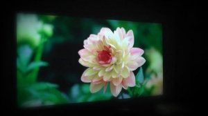 3D на ПРОЕКТОРЕ Впечатления/СРАВНЕНИЯ с ТВ и т.д.