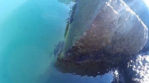 Ловля скорпены на спиннинг.Рокшифинг в Сочи.Морская рыбалка