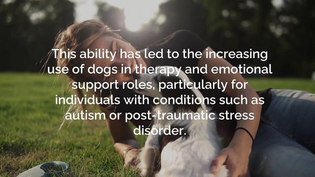 Loyal Companions: How Dogs Connect with Us on an Emotional Level смотреть онлайн