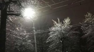 плейлист со странной атмосферой