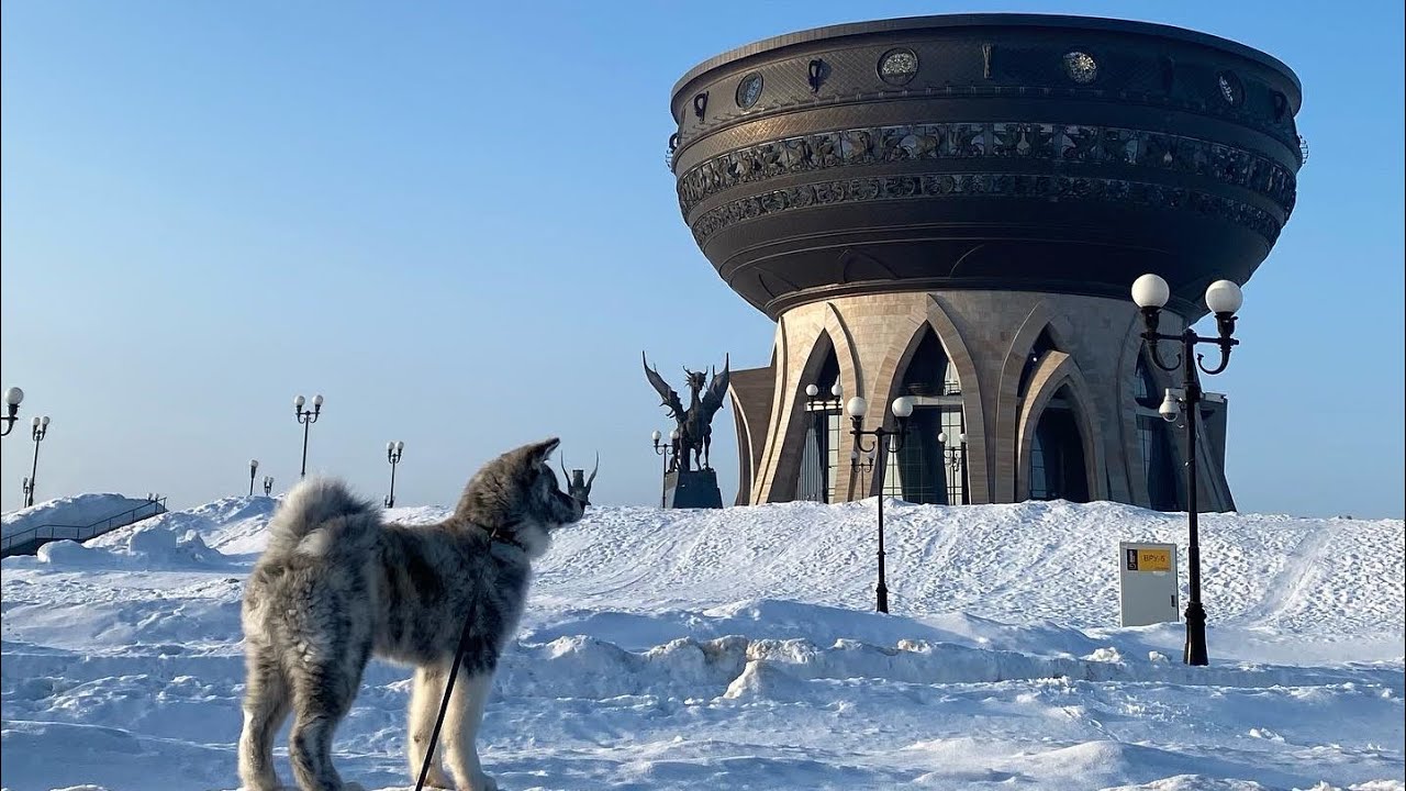 Прогулка возле чаши. Питание. Воспитание смотреть онлайн