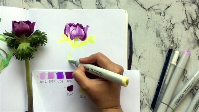 Как рисовать с натуры. Рисуем анемон маркерами смотреть онлайн