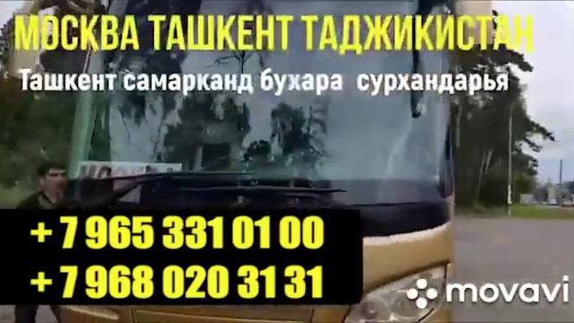 Автобус Москва Ташкент худжанд автобус Санкт-Петербург Ташкент худжанд сегодня!! +79683541010 смотреть онлайн
