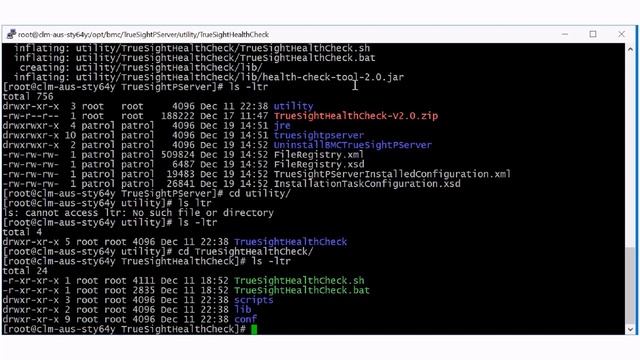 BMC TSOM: How to interpret the results of Health Check Tool смотреть онлайн