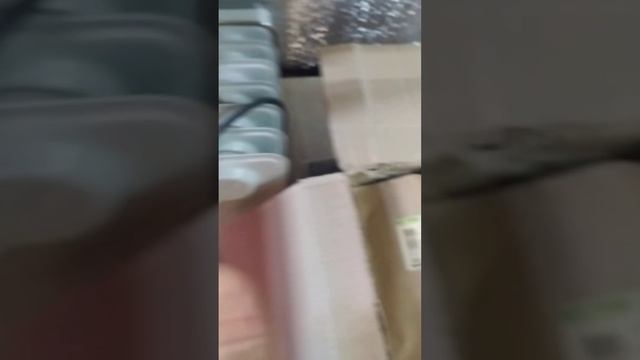 Посылка из Ильинских проростков. смотреть онлайн