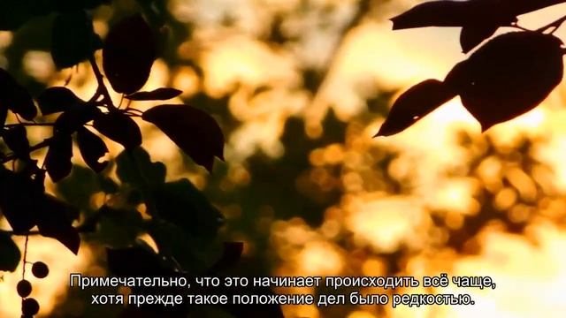 Майнинг Ethereum стал приносить больше прибыли, чем добыча биткоинов смотреть онлайн