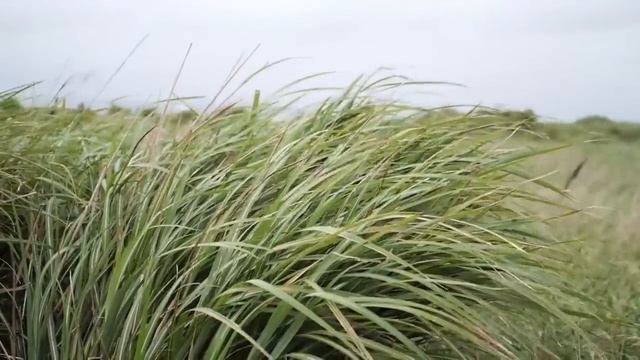 "Не болтай лишнего и никогда не хвались ничем, иначе..." Золотые Советы Святых Отцов смотреть онлайн