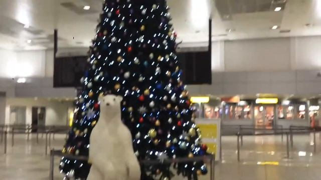 VLOG:Перелет Белград-Москва . смотреть онлайн