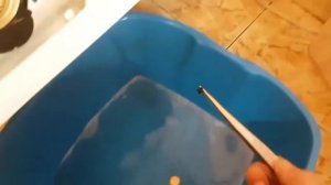 Ремонт стиральных машин Asko