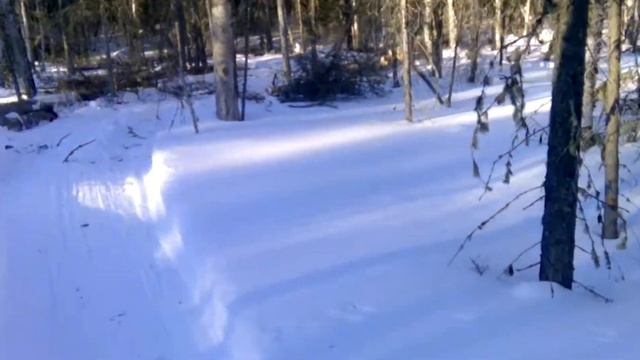 Пилю сухостой смотреть онлайн