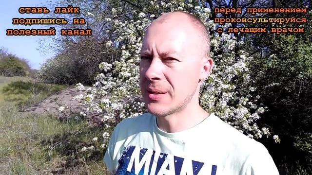 ★Лечение цистита в домашних условиях за 1 день. Ванночки ОТ ЦИСТИТА с лавровым листом. смотреть онлайн