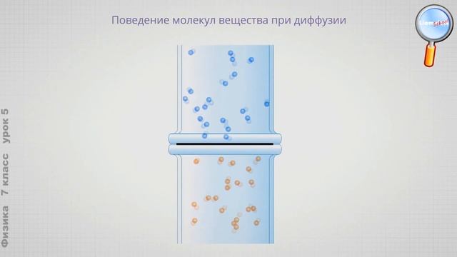 Физика 7 класс (Урок№5 - Броуновское движение. Диффузия. Взаимное притяжение и отталкивание.) смотреть онлайн