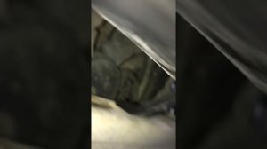 Замена троса капота Пежо 408