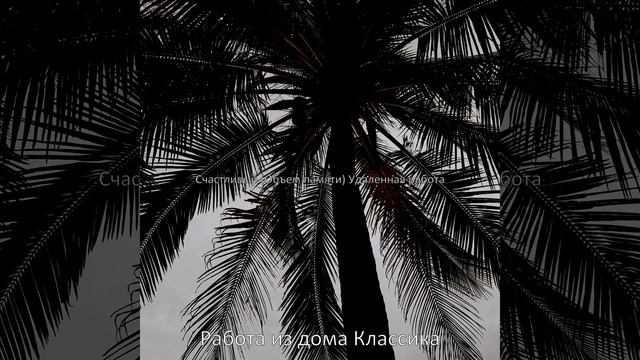 Технологии