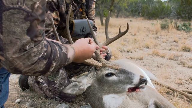 Texas ProStaff Hunt | Straight Huntin' смотреть онлайн