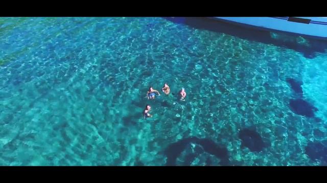 КЛИП О САШЕ СПИЛБЕРГ // Спасибо за 5ОО подписчиков! // Сашуля Шпак смотреть онлайн