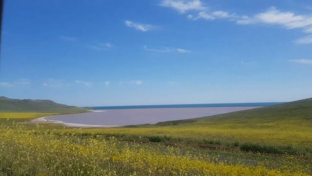 Кояшское озеро 2021. Розовое озеро. Опукский природный заповедник. Крым 2021 смотреть онлайн