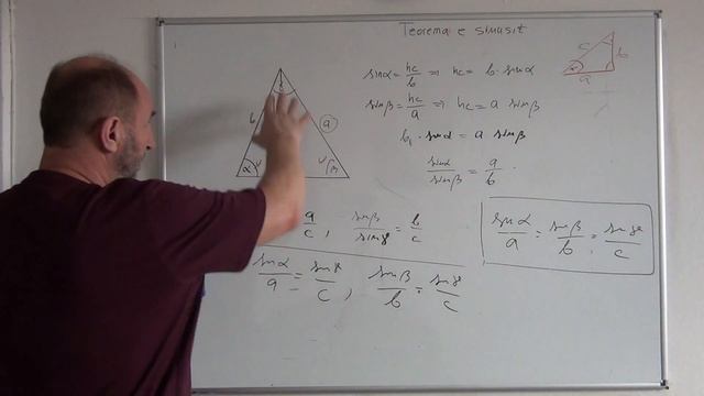 74. Teorema e sinusit смотреть онлайн