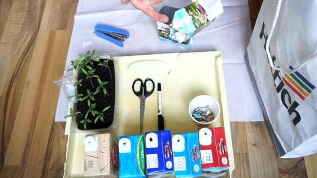 ПИКИРОВКА РАССАДЫ. Срочно! (для Татьяны)! Мои дачные дела.