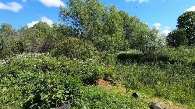 41 сотка с прудом за 550 000р. Проект "Переезд в деревню" смотреть онлайн