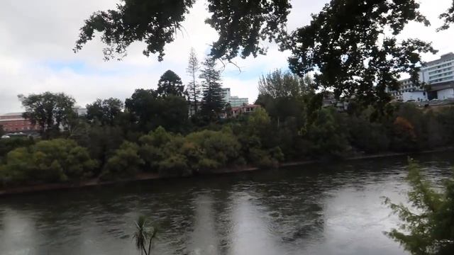 A Day in Hamilton, New Zealand смотреть онлайн