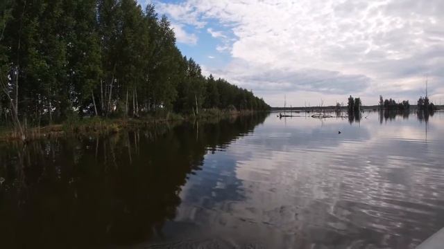 Рыбалка на карася в Нижнем Новгороде смотреть онлайн