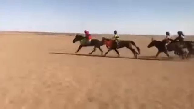 Ширээтийн хурд 2019-Соёолон смотреть онлайн