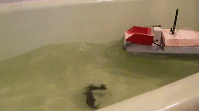 RC сarp boat радиоуправляемый катер для рыбалки проба смотреть онлайн