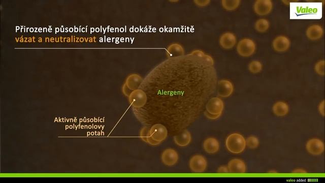 Kabinový filtr s polyfenolem Valeo ClimFilter™ Supreme k neutralizaci alergenů HD смотреть онлайн