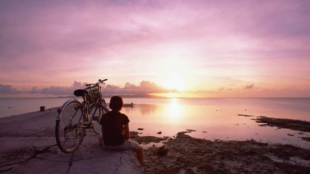 Как узнать правду?