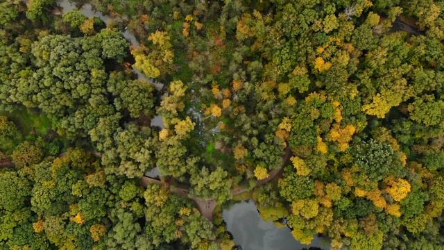 главный ботанический сад ран. октябрь. смотреть онлайн