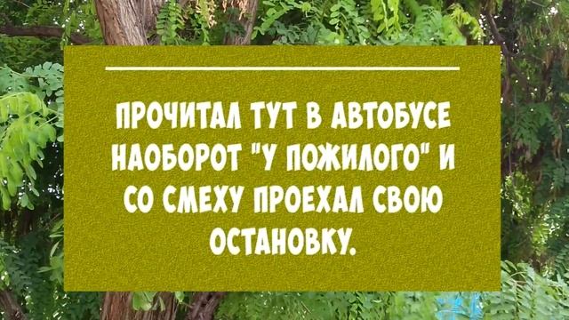 Вкусное съешь сам, полезным поделись с другом, а врагу отдай мыть посуду. смотреть онлайн