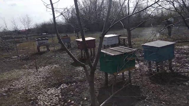 CРОЧНО!!! Весенняя обработка сада медным купоросом смотреть онлайн