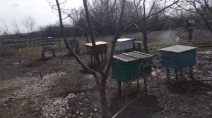 CРОЧНО!!! Весенняя обработка сада медным купоросом