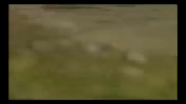 Moy Narod смотреть онлайн