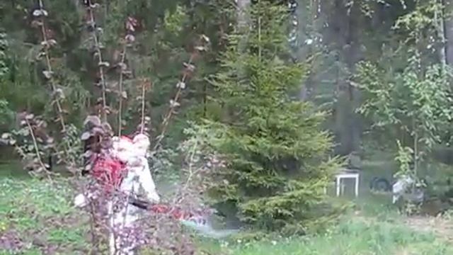 Обработка деревьев от короеда смотреть онлайн