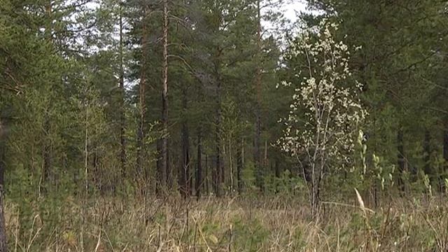 Мальчика укусил клещ смотреть онлайн