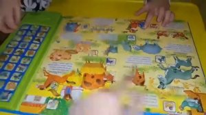 Интересная игра чьи домишки ? Чьи детишки ?