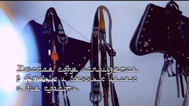 Конская сбруя смотреть онлайн