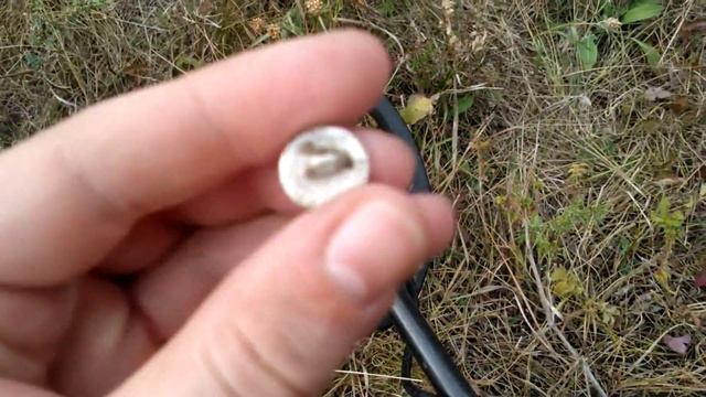 Пять копеек Екатерины II 1787 года и Поле Полтавской битвы смотреть онлайн