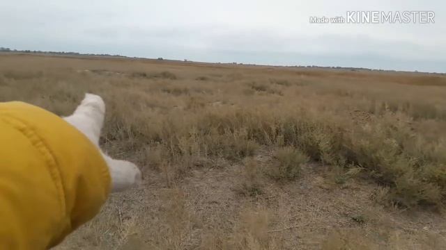 Коп в Казахстане с MINELAB E-TRAC копнул серебро ? смотреть онлайн