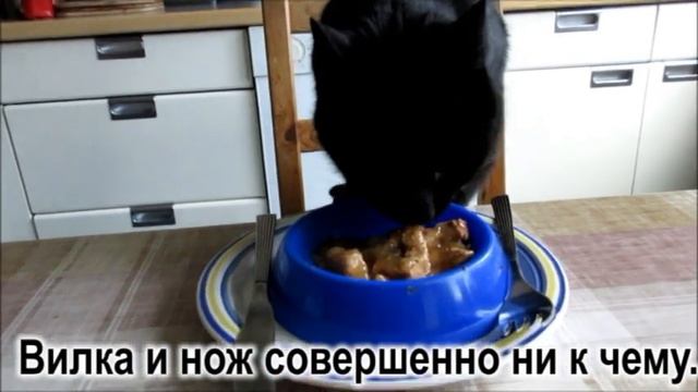 Пройдоха Учим разговорный немецкий без учебника с переводом Бесплатная онлайн программа по темам