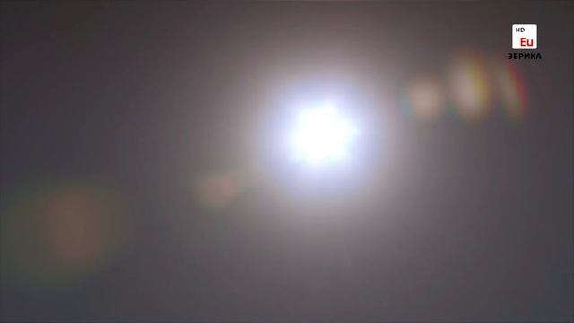 Тайное царство: Грибы, определившие наш мир смотреть онлайн