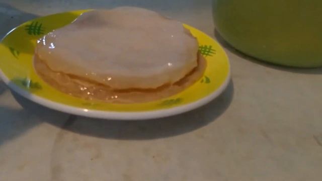 Чайный Гриб. Уход, выращивание. Приготовление комбучи смотреть онлайн